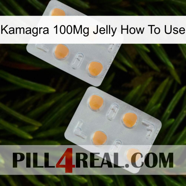 Kamagra 100Mg Jelly How To Use 25